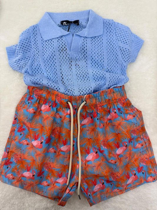 Costume fenicottero
